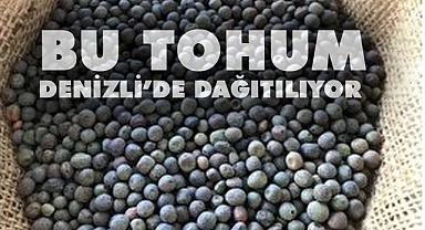 Macar Fiği Tohumu hiç duydunuz mu?