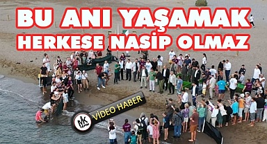 Deniz kaplumbağaları özgürlüğe kulaç attı