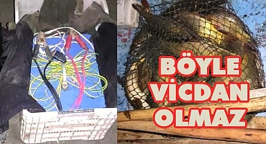 Gölde elektrikle kaçak avlanan iki kişi yakalandı