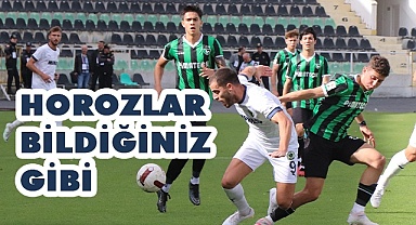 Horozda işler bildiğiniz gibi