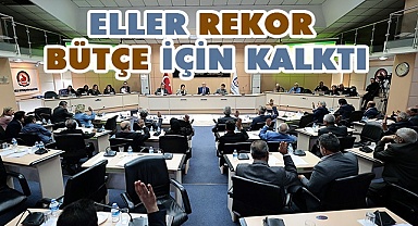 Rekor bütçe onaylandı