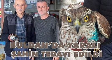 Yaralı bulduğu şahini tedavi ettirdi