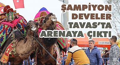 Şampiyonlar Tavas’ta arenaya çıktı