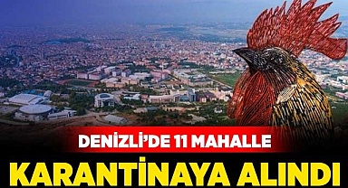 Denizli'de 11 mahalle karantina altına alındı