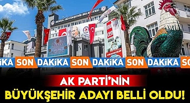 Durmak Yok, Zolan ile Yola Devam!