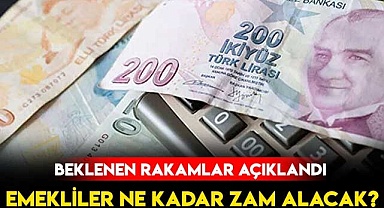 Emekliler ne kadar zam alacak?