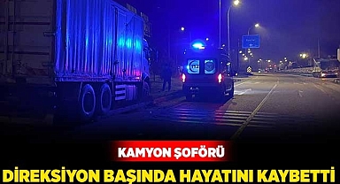 Kamyon Şoförü Direksiyon Başında Hayatını Kaybetti