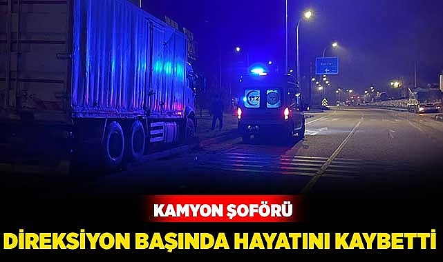 Kamyon Şoförü Direksiyon Başında Hayatını Kaybetti