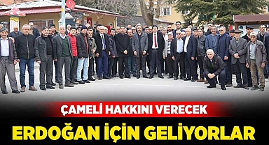 Çameli hakkını verecek