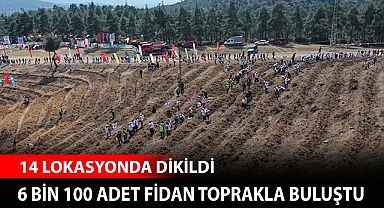 14 lokasyonda 6 bin 100 adet fidan toprakla buluştu