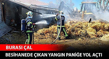 Besihanede çıkan yangın paniğe yol açtı