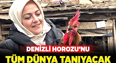 Denizli Horozu’nu tüm dünya tanıyacak