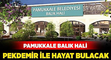 Pamukkale Balık Hali Pekdemir ile hayat bulacak