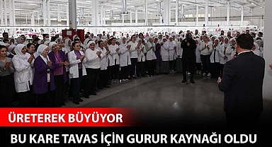 Tavas üreterek büyüyor