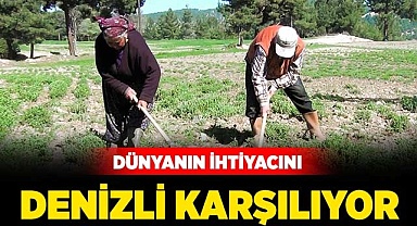 Dünyanın ihtiyacını Denizli karşılıyor