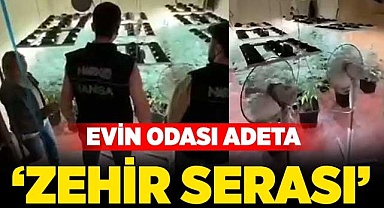 Evin odası adeta ‘zehir serası’