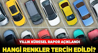 Hangi renkler tercih edildi?