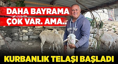 Kurbanlık telaşı erken başladı