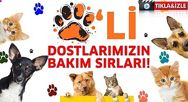 Patili dostlarımızın bakım sırları!