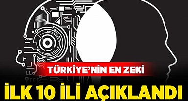Türkiye'nin en zeki ilk 10 ili açıklandı