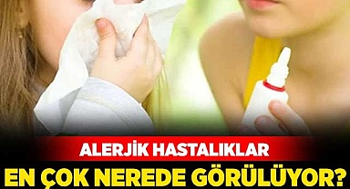 Alerjik hastalıklar en çok nerede görülüyor?