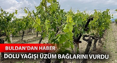Buldan'da dolu yağışı üzüm bağlarını vurdu