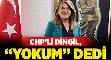 CHP’li Dingil “Yokum” dedi
