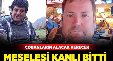 Çobanların alacak verecek meselesi kanlı bitti