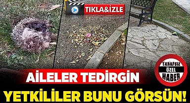 Çocuk park alanları tehlike saçıyor
