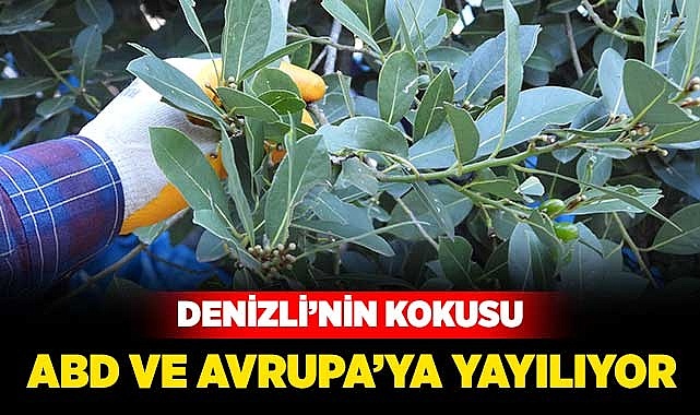 Denizli'nin kokusu ABD ve Avrupa'ya yayılıyor