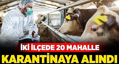 İki ilçede 20 mahalle karantinaya alındı