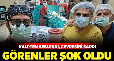 Kitleyi görenler şok oldu