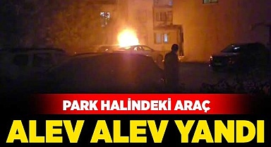 Park halindeki araç alev alev yandı