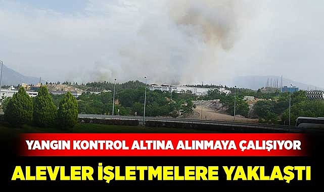 Alevler işletmelere yaklaştı
