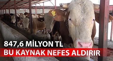 Bu kaynak, ihtiyaç sahiplerine nefes aldırır