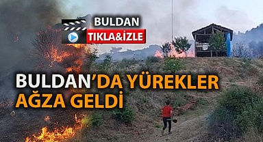 Buldan'da orman yangını çıktı