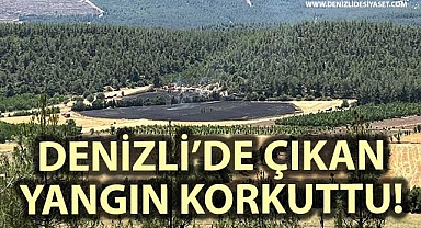 Denizli'de çıkan yangın korkuttu!