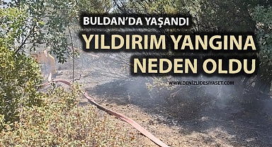 Denizli’de yıldırım yangına neden oldu