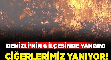 Denizli'nin 6 ilçesinde yangın!