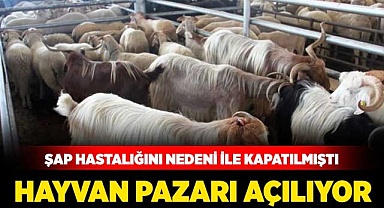 Hayvan pazarı açılıyor