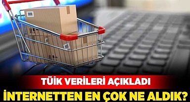 İnternetten en çok ne aldık?