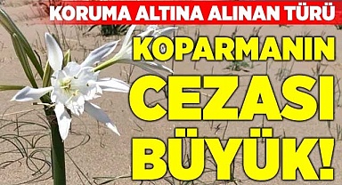 Koparmanın cezası büyük!