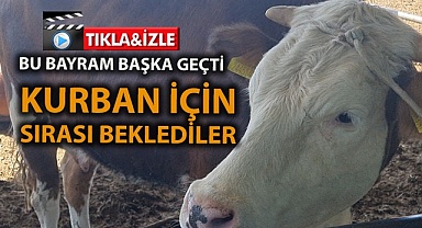 Kurban bayramında bakın neler yaşandı? 