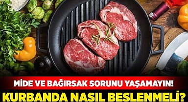 Kurbanda nasıl beslenmeli?