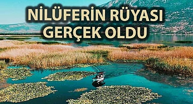 Nilüferin rüyası gerçek oldu