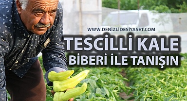Tescilli Kale Biberi ile tanışın