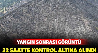 Yangın 22 saatte kontrol altına alındı