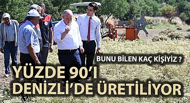 Yüzde 90’ı Denizli’de üretiliyor