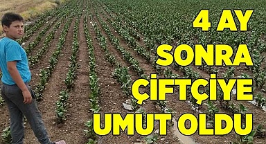 4 ay sonra çiftçiye umut oldu