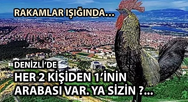 Denizli’de iki kişiden birinin arabası var
